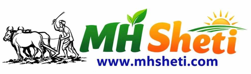 MH Sheti